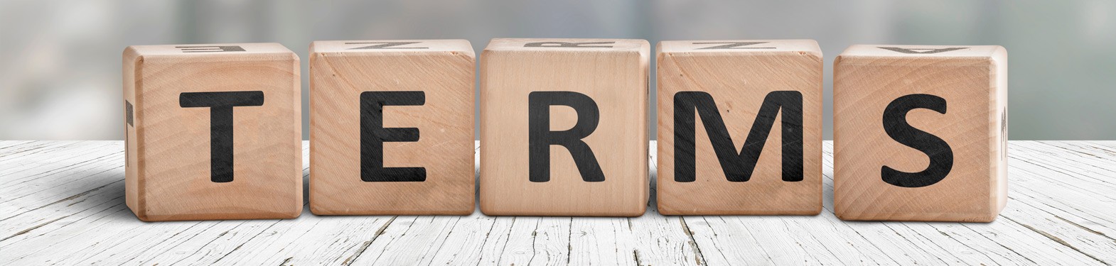 Terms and Conditions